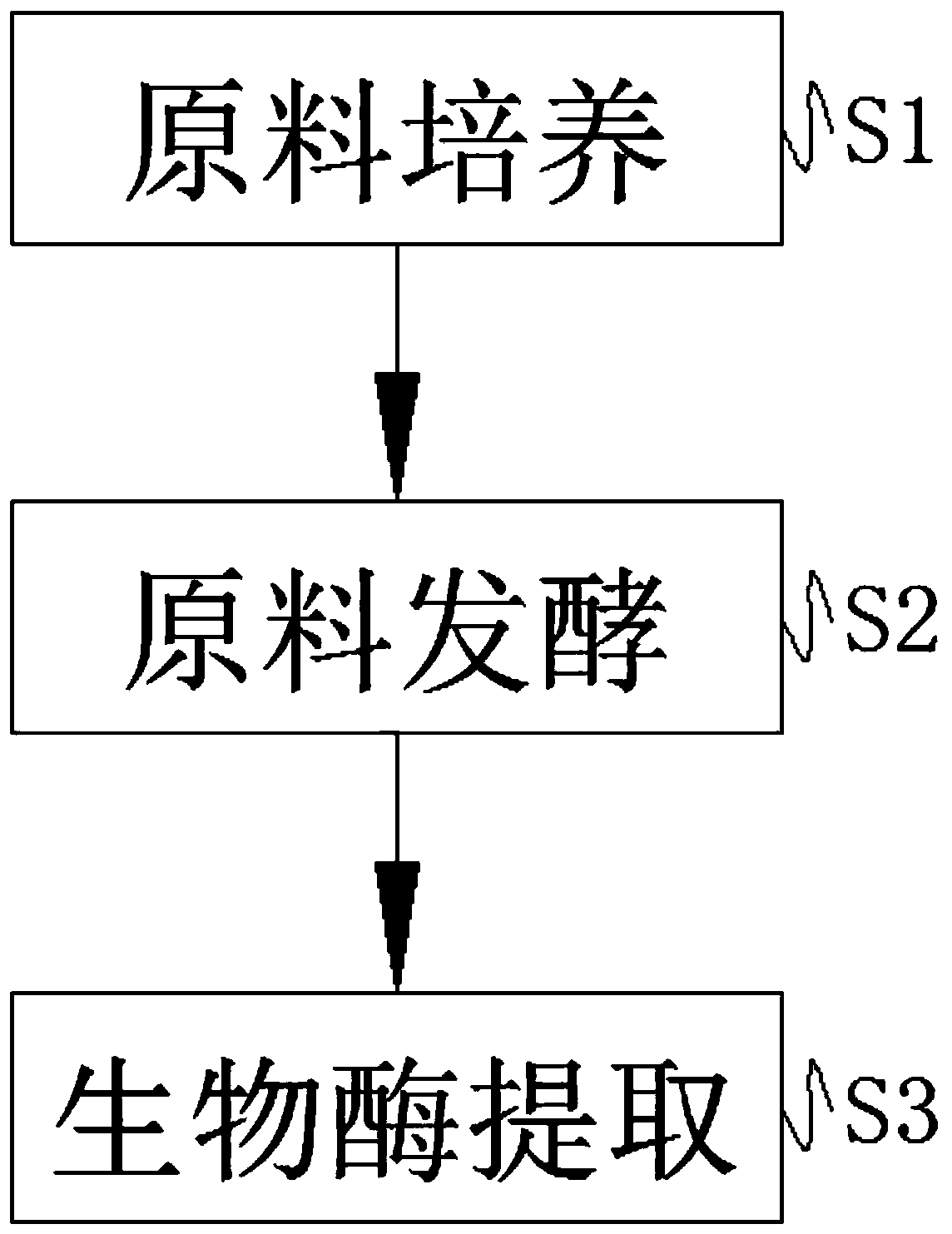 Biological enzyme preparation method