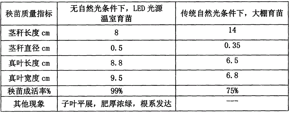 Watermelon seedling cultivation technology of light emitting diode (LED) plant lamp based on conditions without natural light
