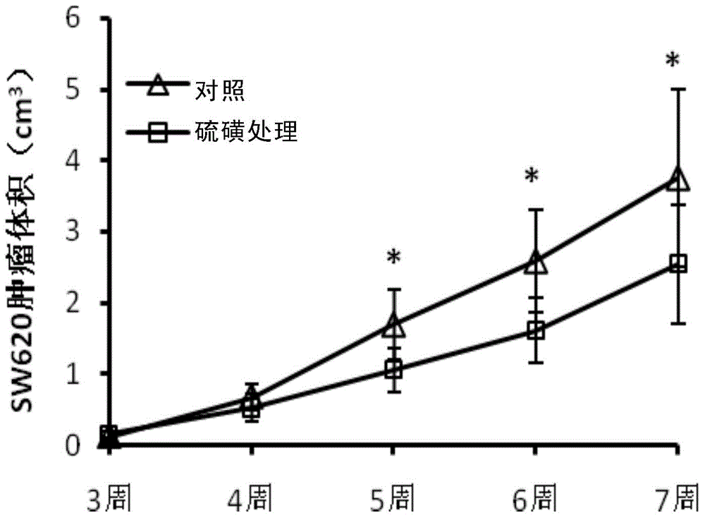 Application of sulphur in preparation of composition for inhibiting tumors