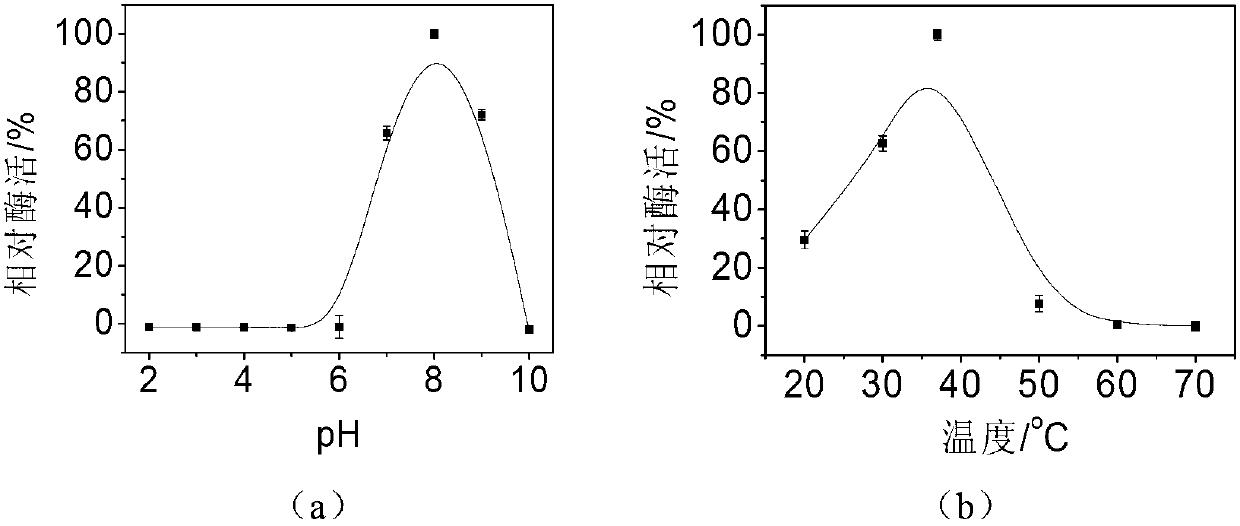 Method for preparing galactooligosaccharide by use of permeable cell beta-galactosidase