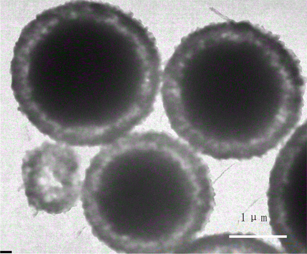 Preparation method of monodisperse yolk-shell structured CuO microspheres