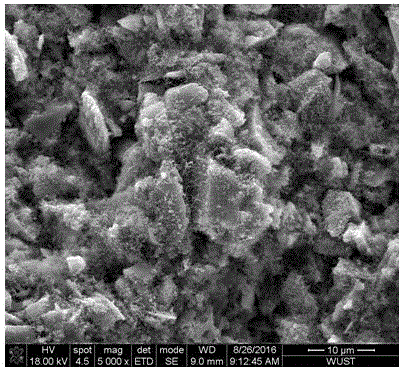 Silicon nitride whisker combined silicon carbide porous ceramic and production method thereof