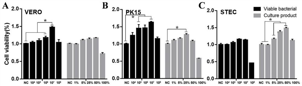 Bacillus velezensis derived from sheep nasal cavity and application thereof