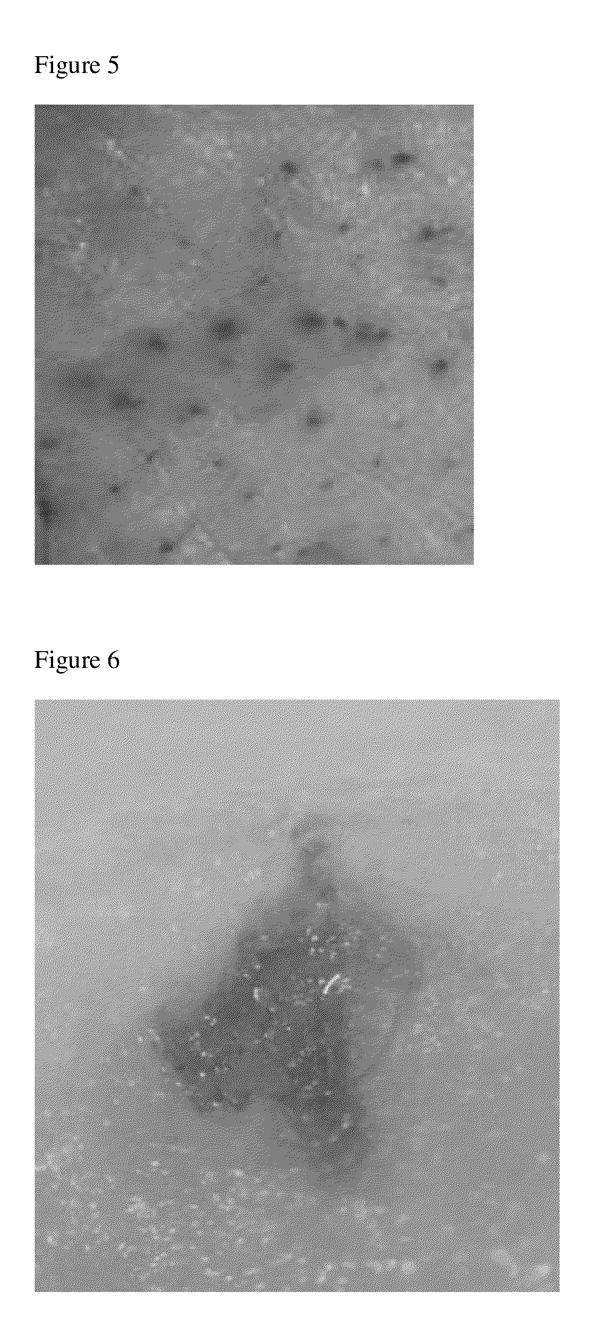 Compositions and methods comprising energy absorbing materials for follicular delivery