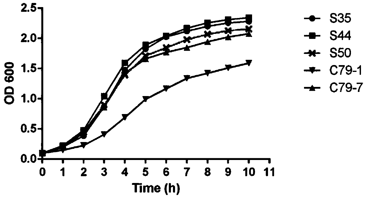 A kind of pullorum agglutinating antigen and preparation method thereof