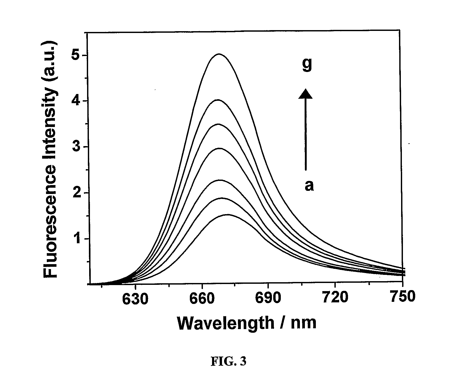 Amphiphilic squaraine dyes, process for preparation thereof and use thereof
