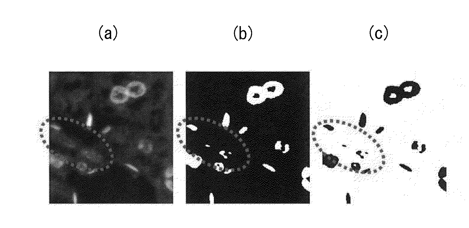 Image processing device, image processing method, image processing program, and virtual microscope system