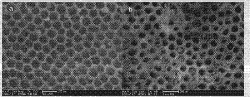 Titanium dioxide polyaniline composite nanometer tube array and preparation method thereof