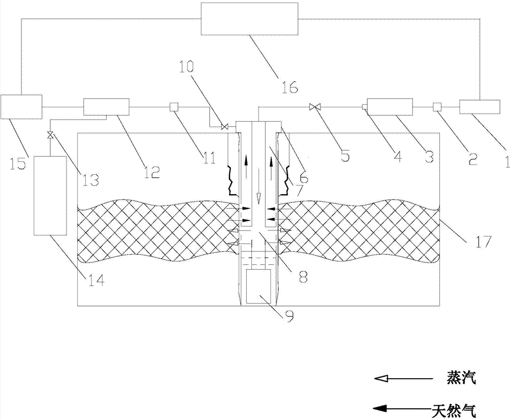 Method and device for exploiting natural gas hydrate in frozen soil area through injection of high-temperature steam