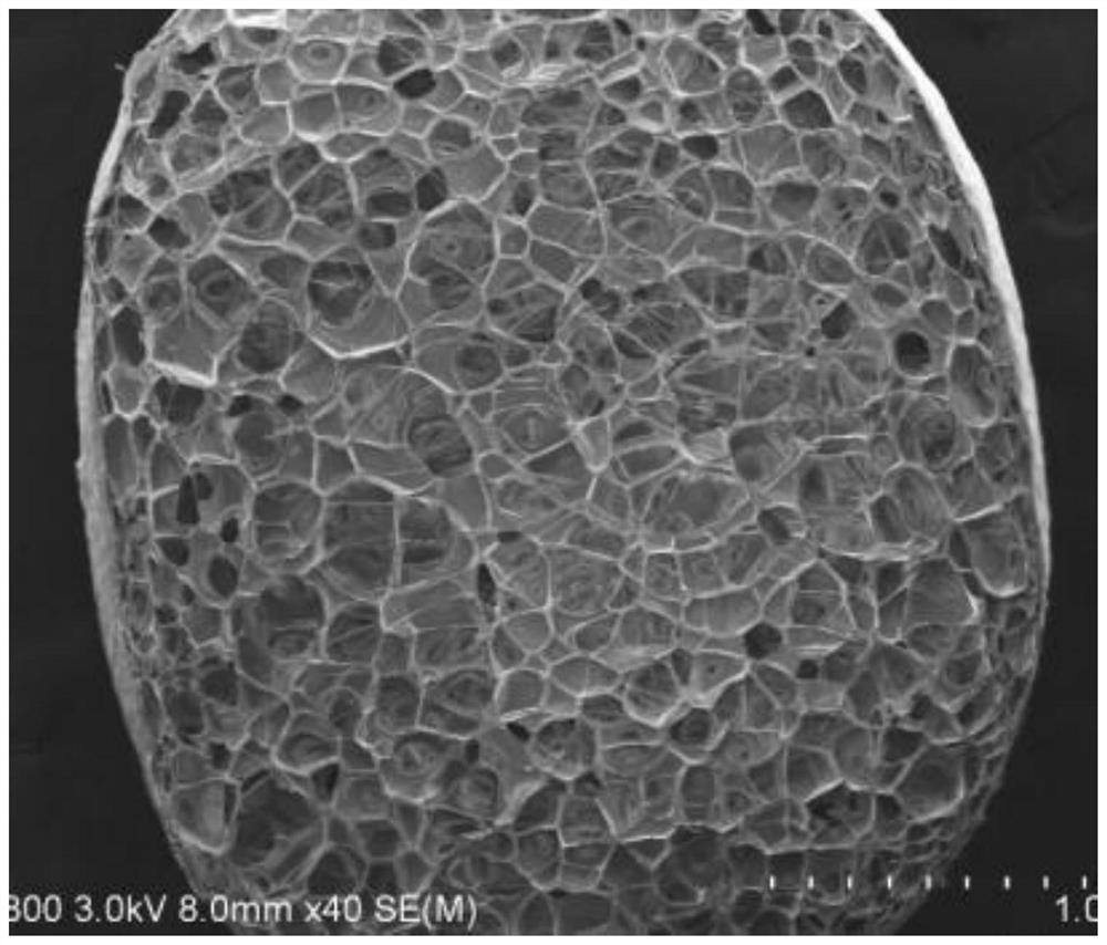 Preparation method of PET (Polyethylene Terephthalate) foamed beads for molding