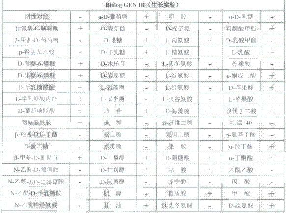 Escherichia coli JL-GlcN and application thereof