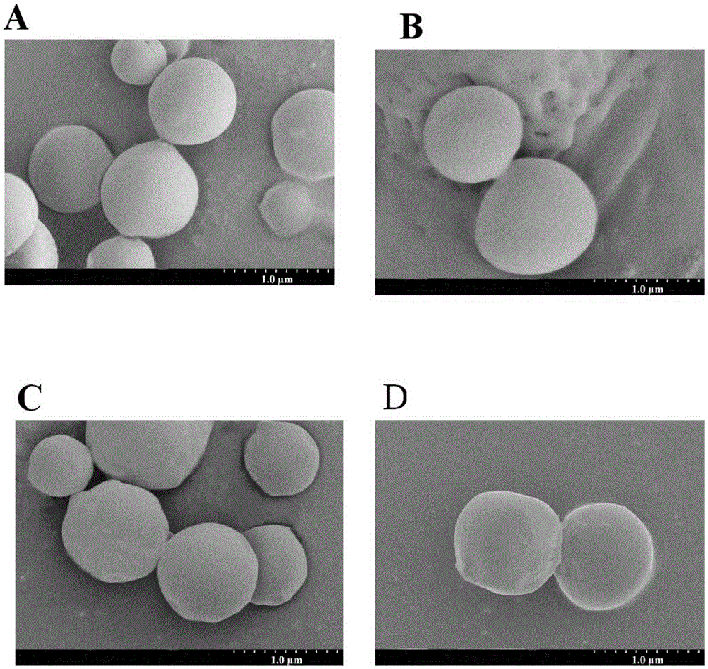 Nanoparticle vaccine preparation containing recombinant hepatitis B surface antigen and preparation method thereof