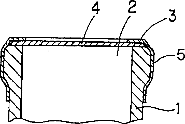 Enveloping structure for mouth of barrel container