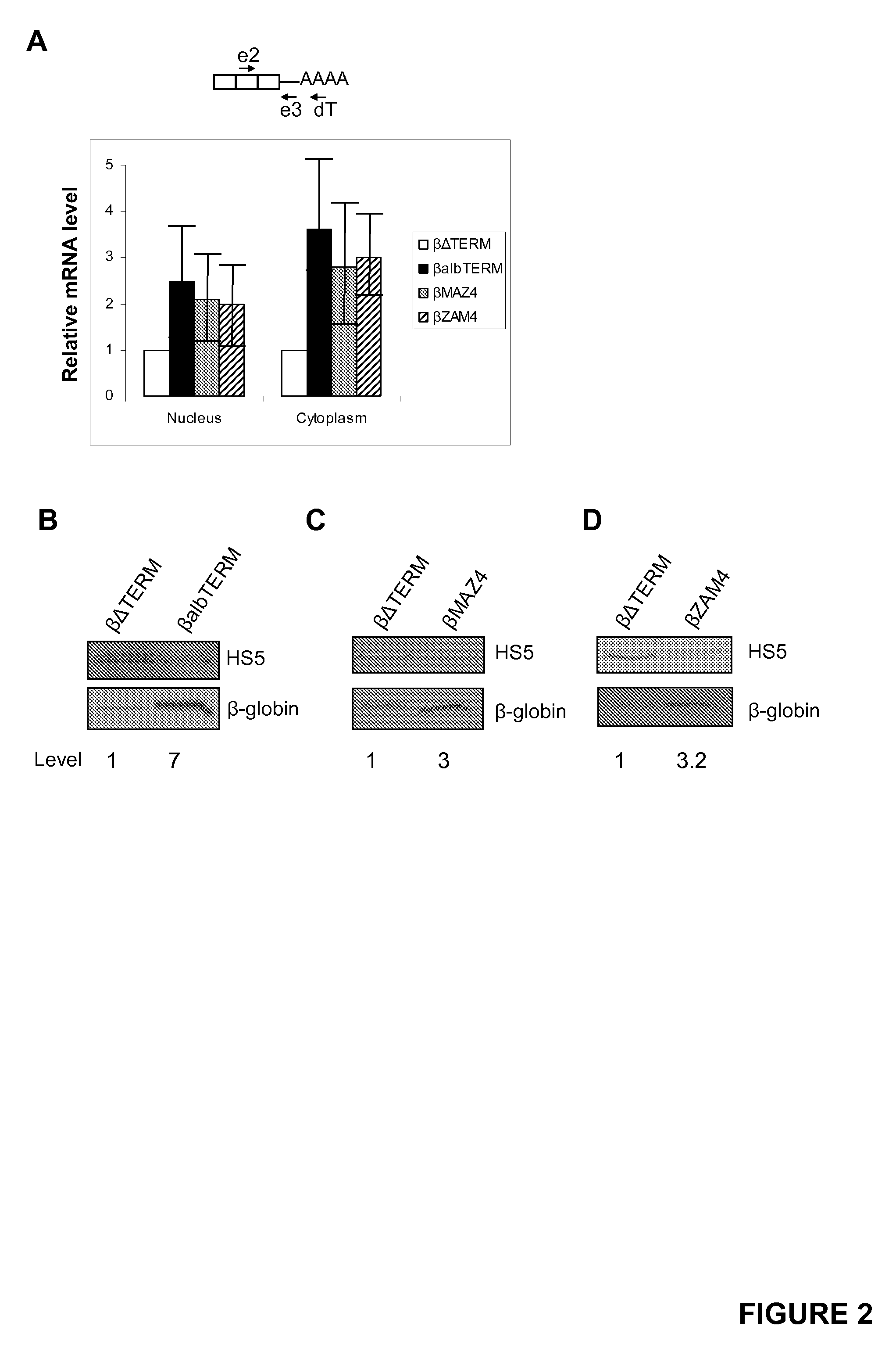 Protein Expression