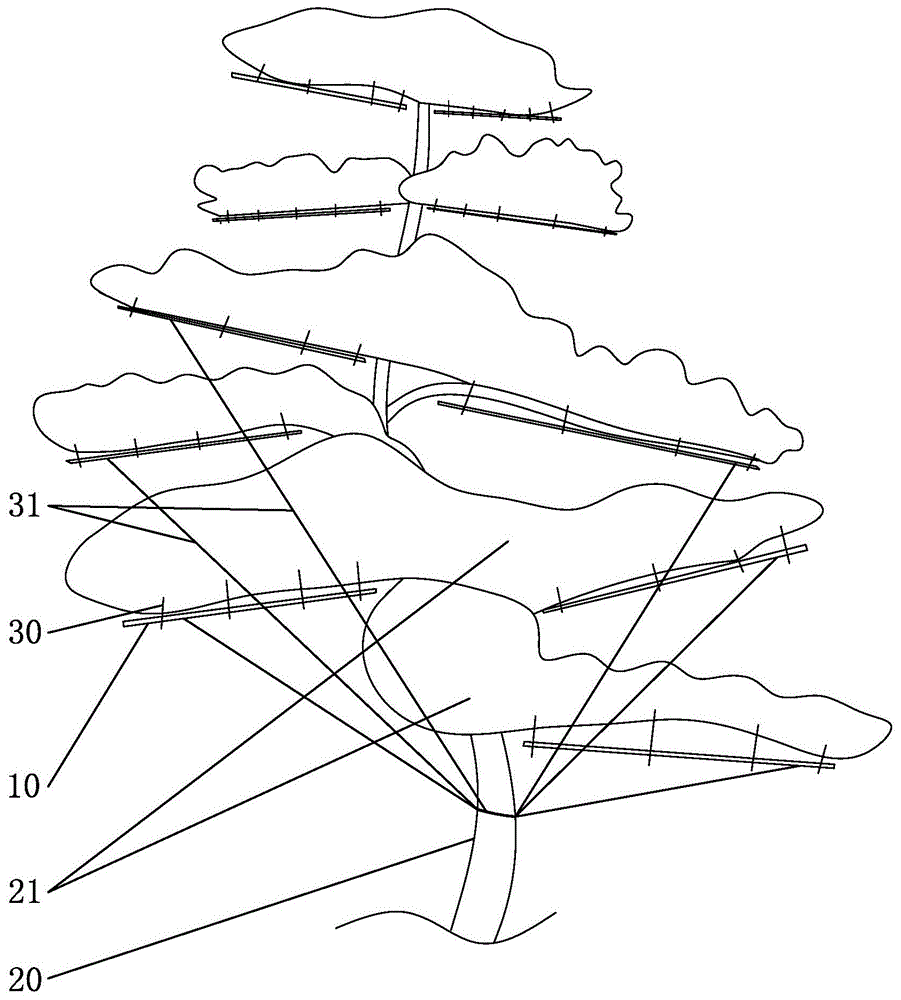 Modeling and positioning device and method for bonsai/landscape tree