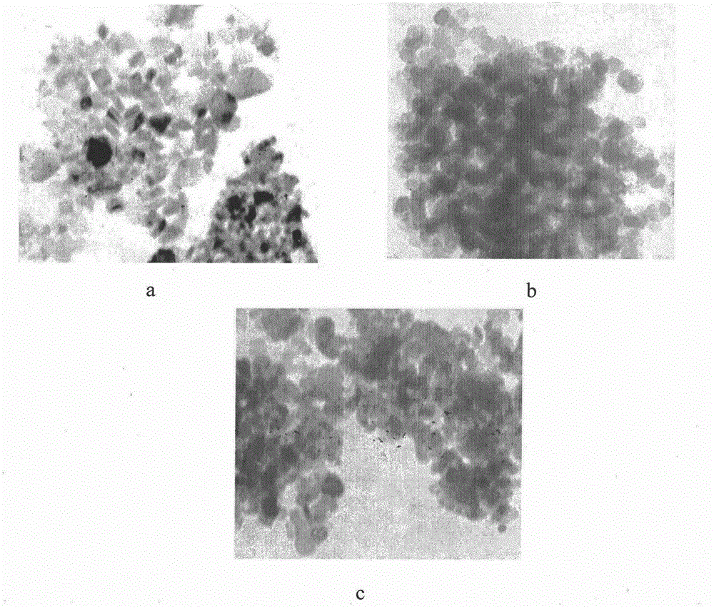 Miller amino carbon nitrogen compound nanoparticles and diesel engine oil composition containing same