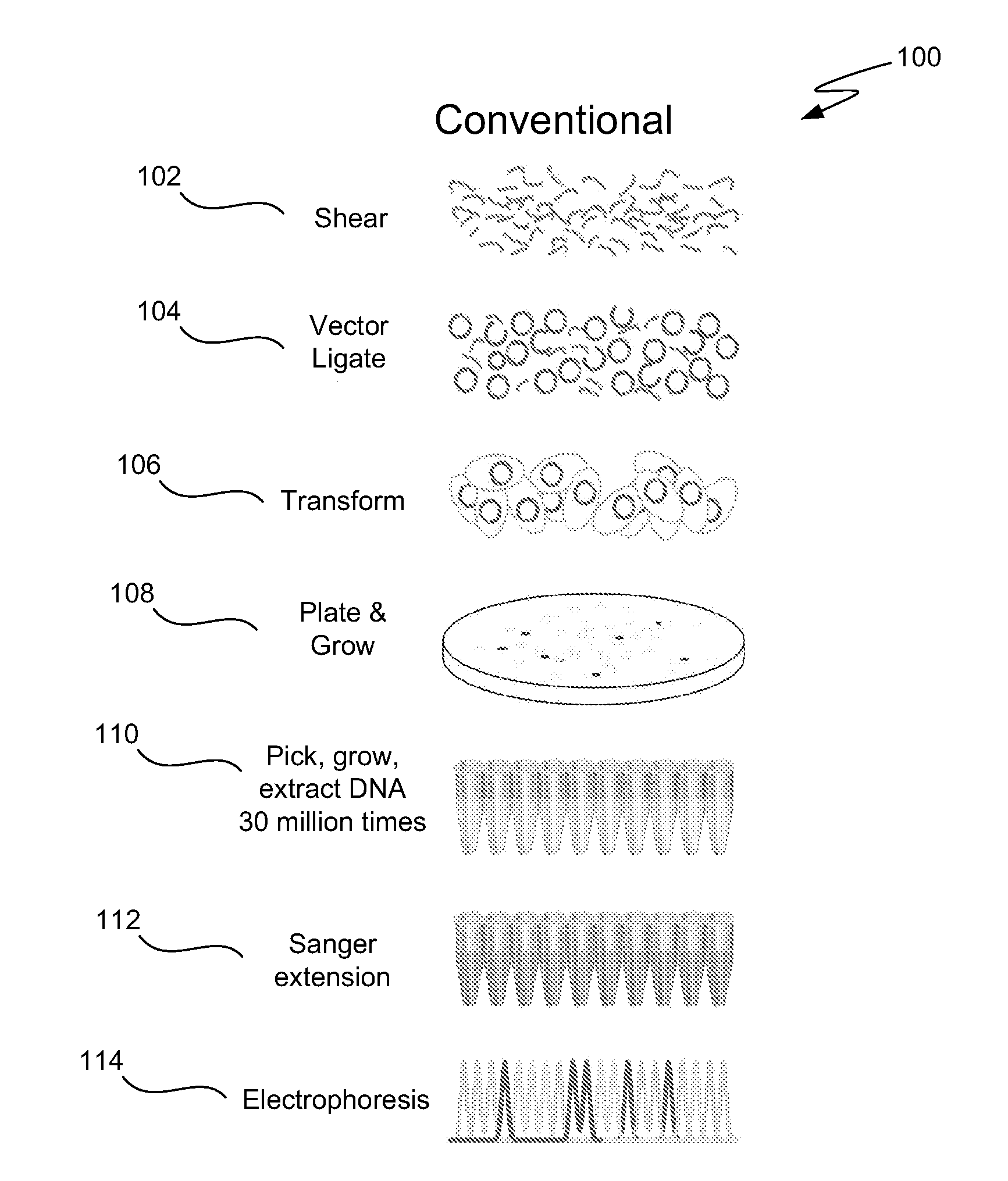 Microfabricated integrated DNA analysis system