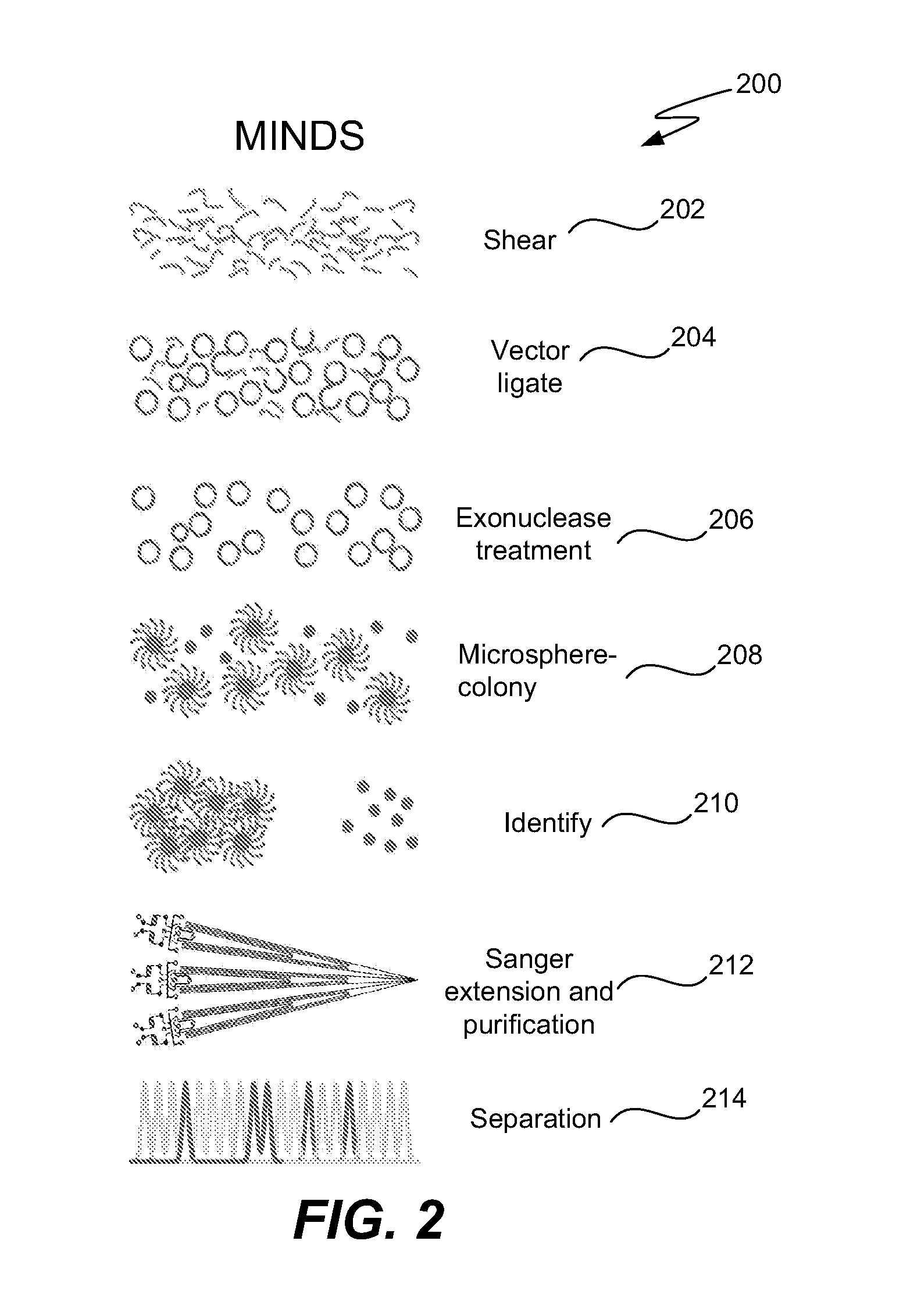 Microfabricated integrated DNA analysis system