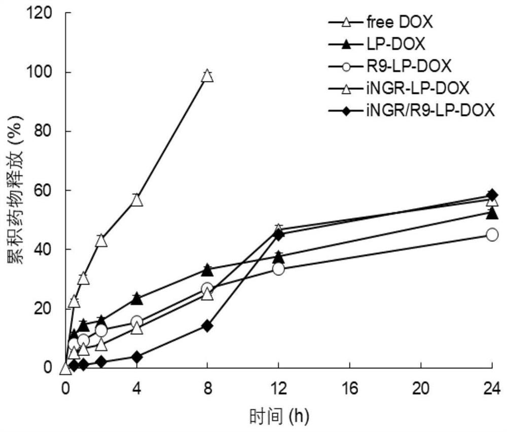 INGR/R9 dual-modified adriamycin targeted liposome and antitumor activity evaluation
