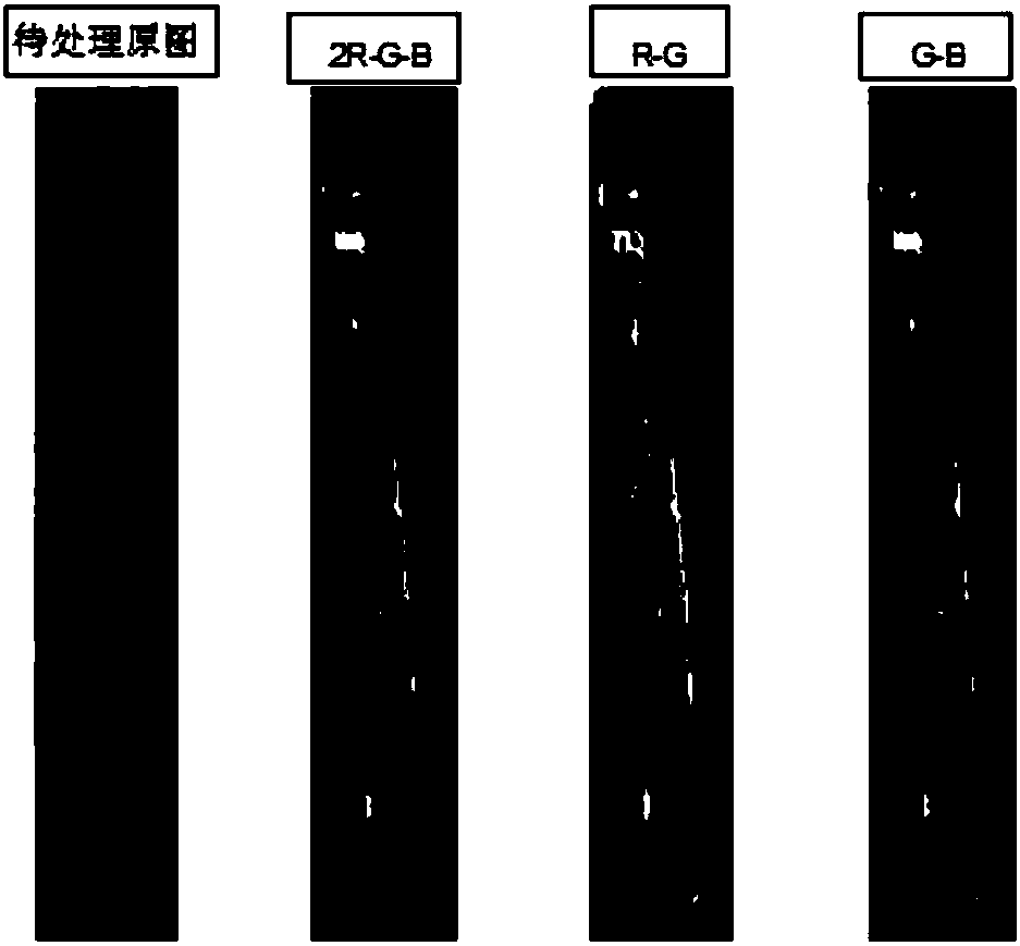 Method for distinguishing rice blast disease in rice based on aerial photographs of farmland