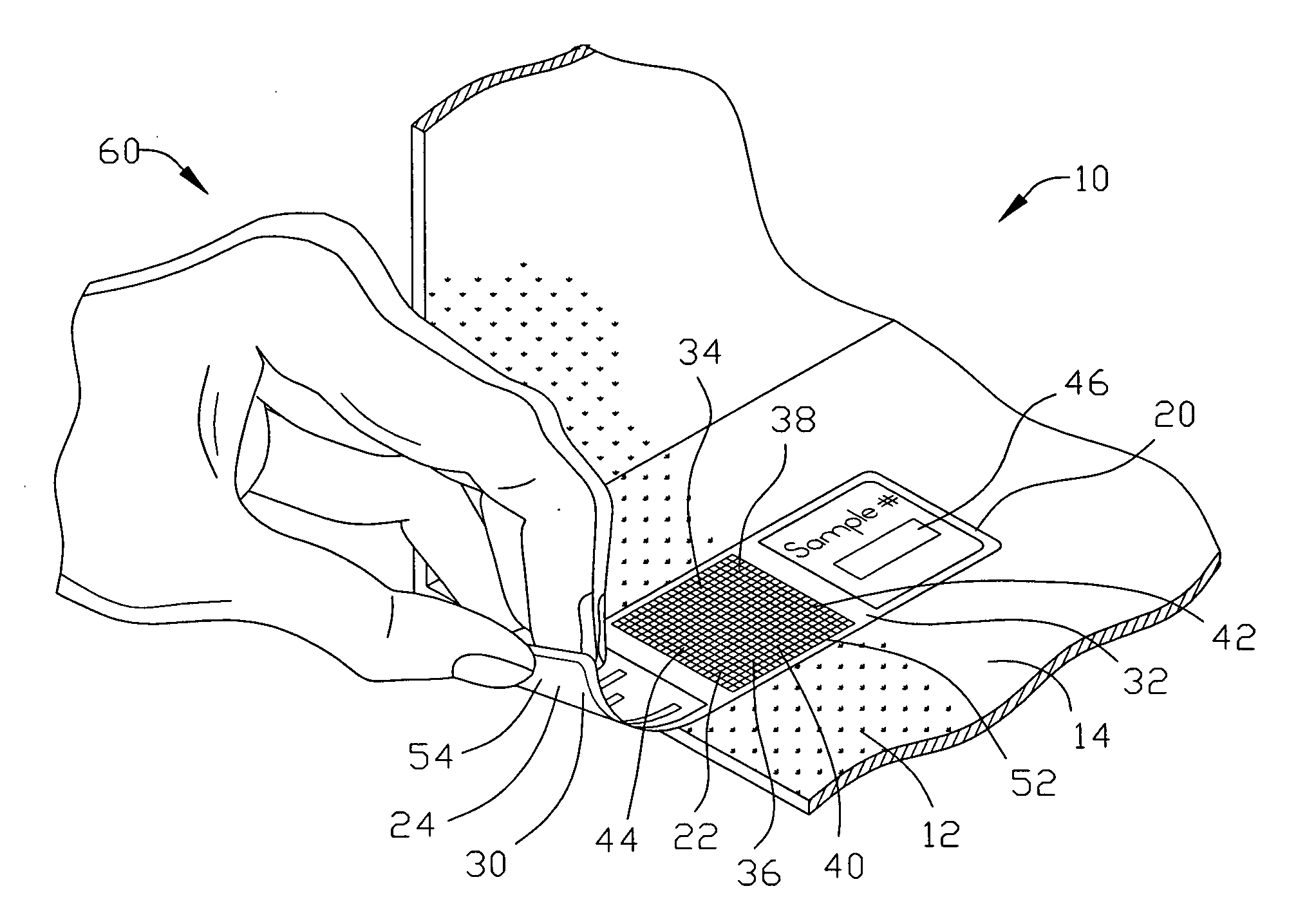 Apparatus and method of conveying constituents