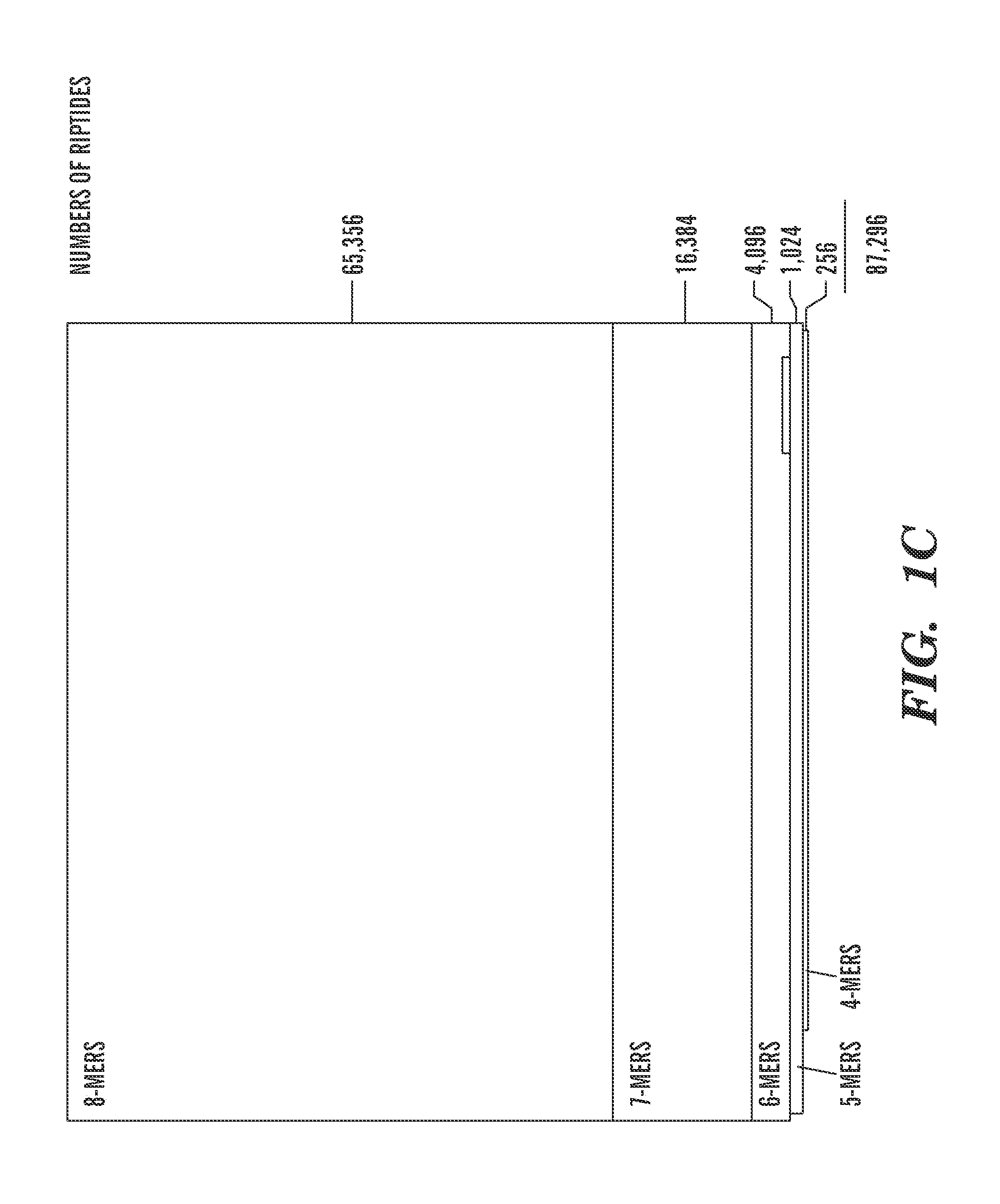 Telomerase inhibitors and methods of use thereof