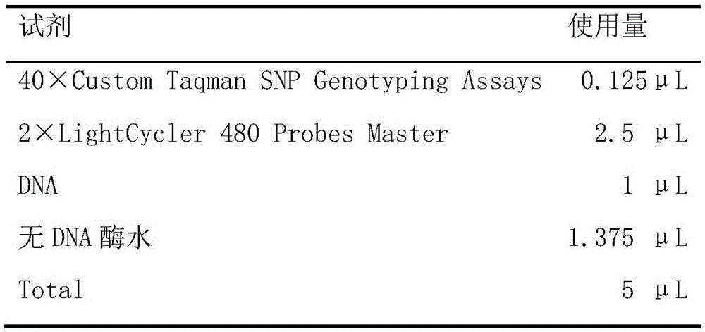 rs2069852 site marker of chronic hepatitis B virus infection related IL-6 gene and application thereof