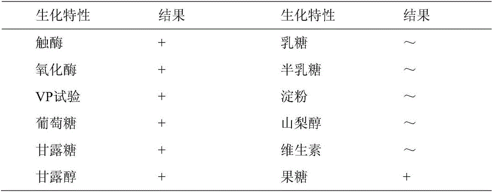 Method for preparing microelement liquid water-soluble fertilizer through alga composite graded fermentation