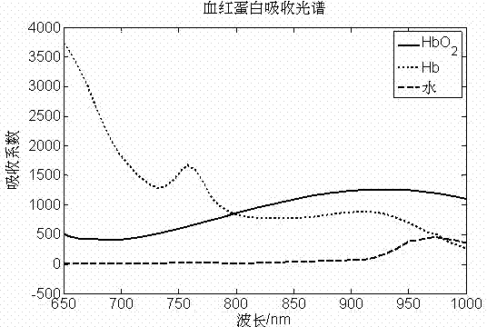 Blood oxygen blood volume absolute amount detection device and method thereof