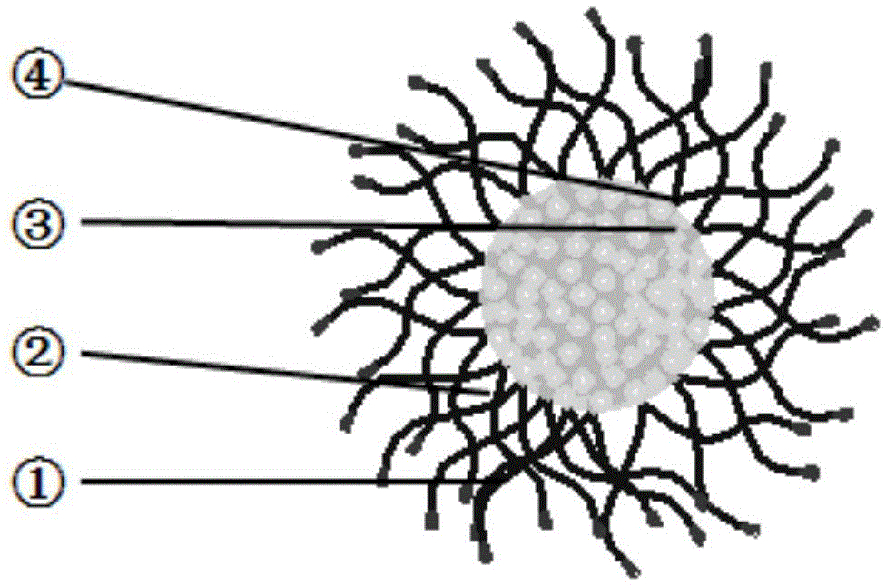 Preparation method of cellular microenvironment pH-sensitive micelle