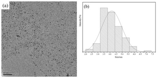 A preparation method and application of rare earth-doped apatite fluorescent nanodots