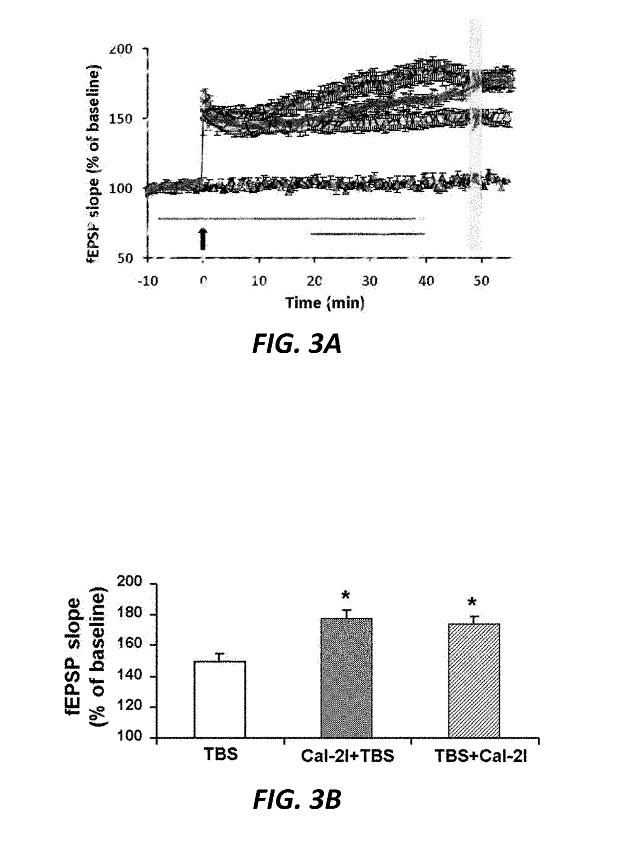 Isoform-specific calpain inhibitors, methods of identification, and uses thereof