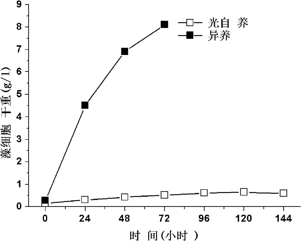 A high-yield microalgae cultivation method