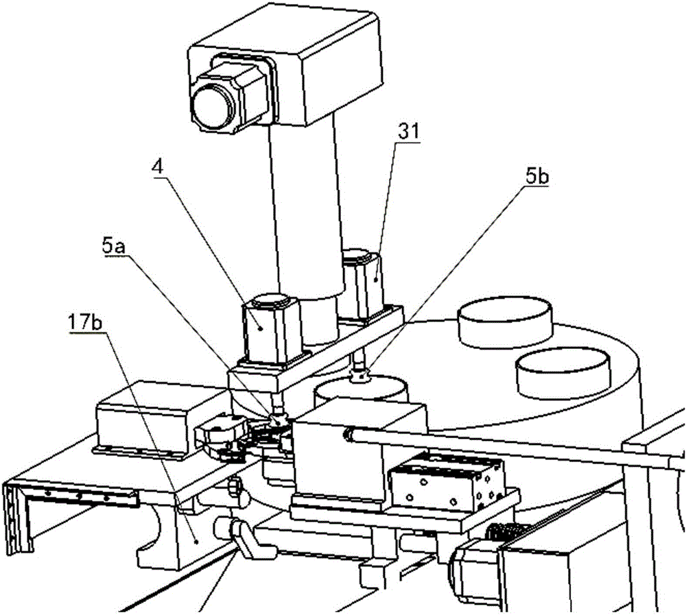 Automatic tying machine for tying crabs and method thereof