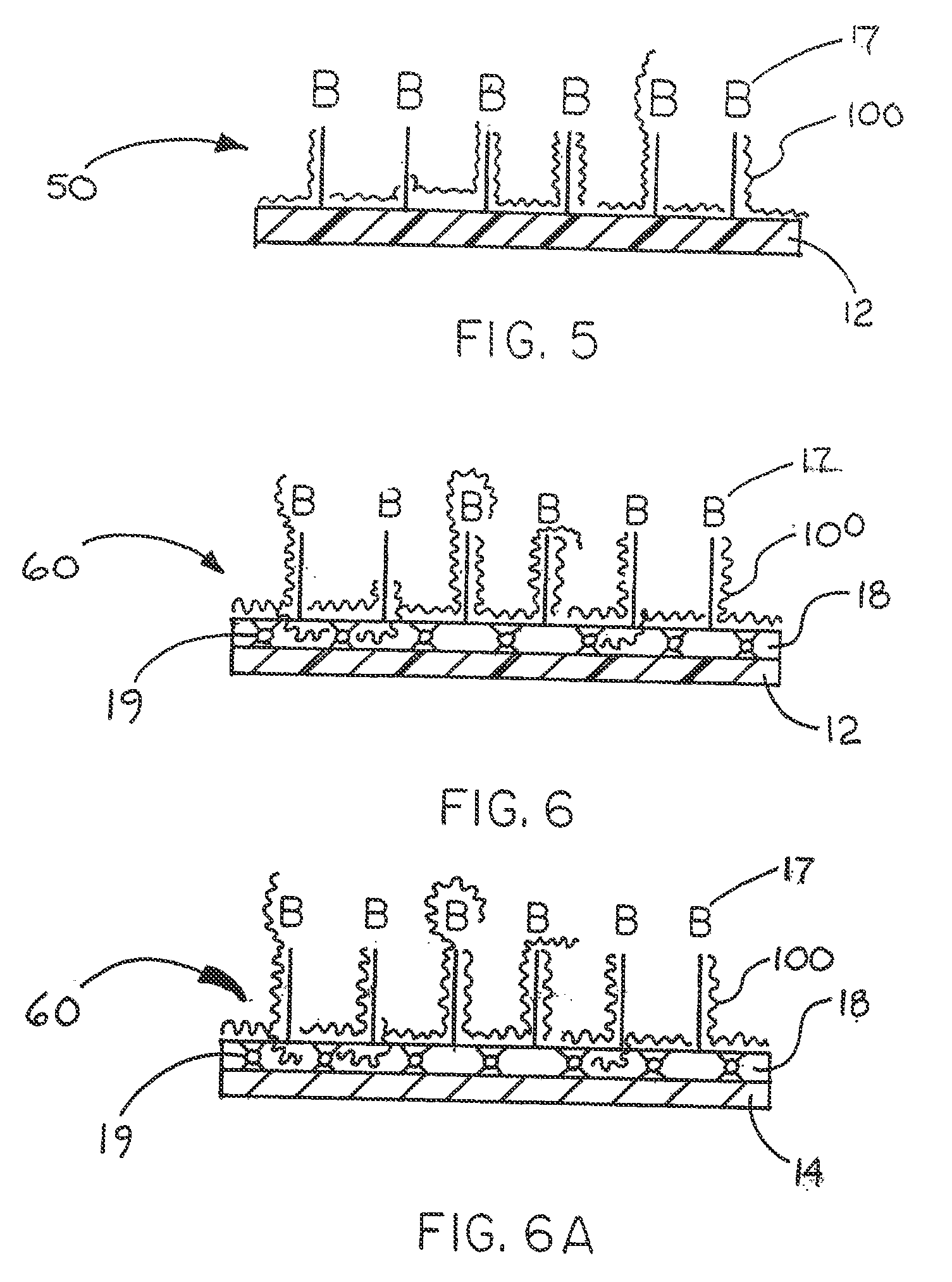 Immobilized biologically active entities having a high degree of biological activity following sterilization