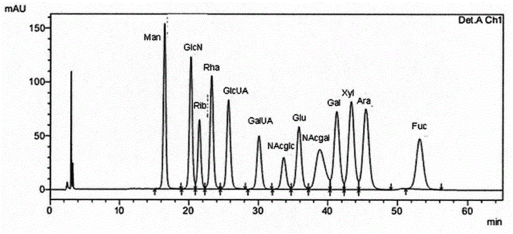 Construction method and standard fingerprint of Lycium barbarum polysaccharide multivariate fingerprint