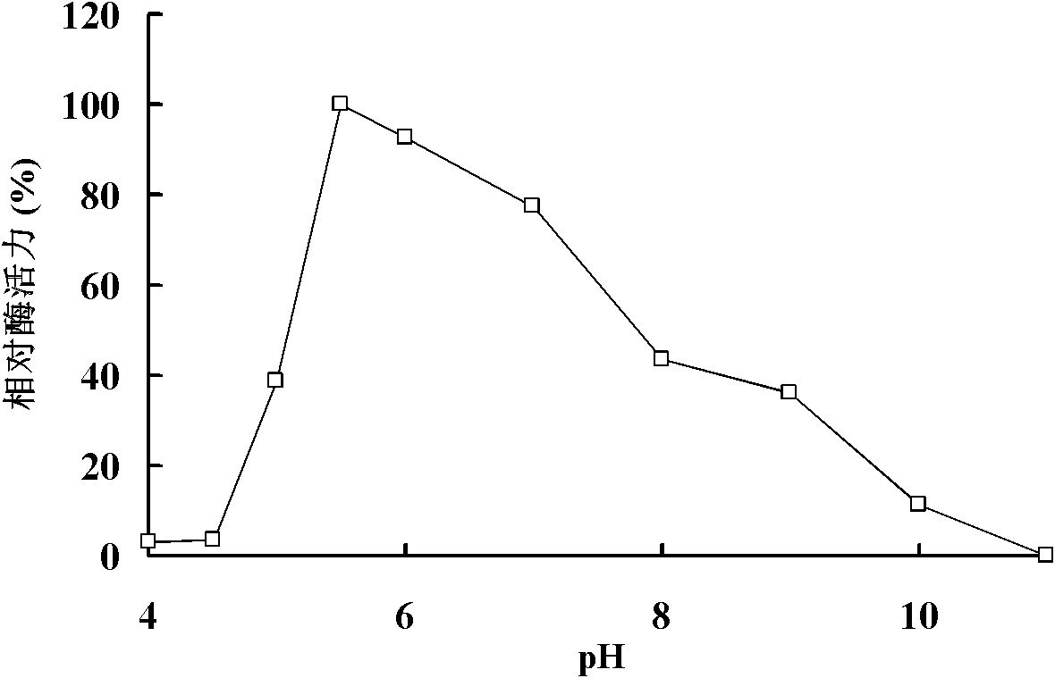 Alkali-resisting beta-mannase Man5A as well as gene and applications thereof