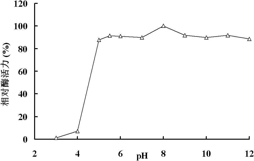 Alkali-resisting beta-mannase Man5A as well as gene and applications thereof