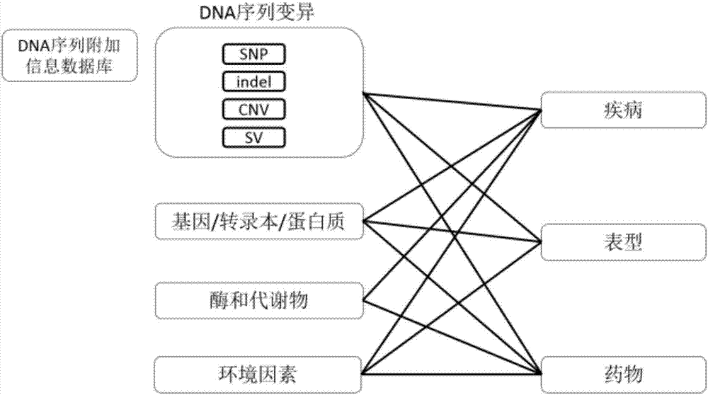 Gene detection knowledge base construction method and system