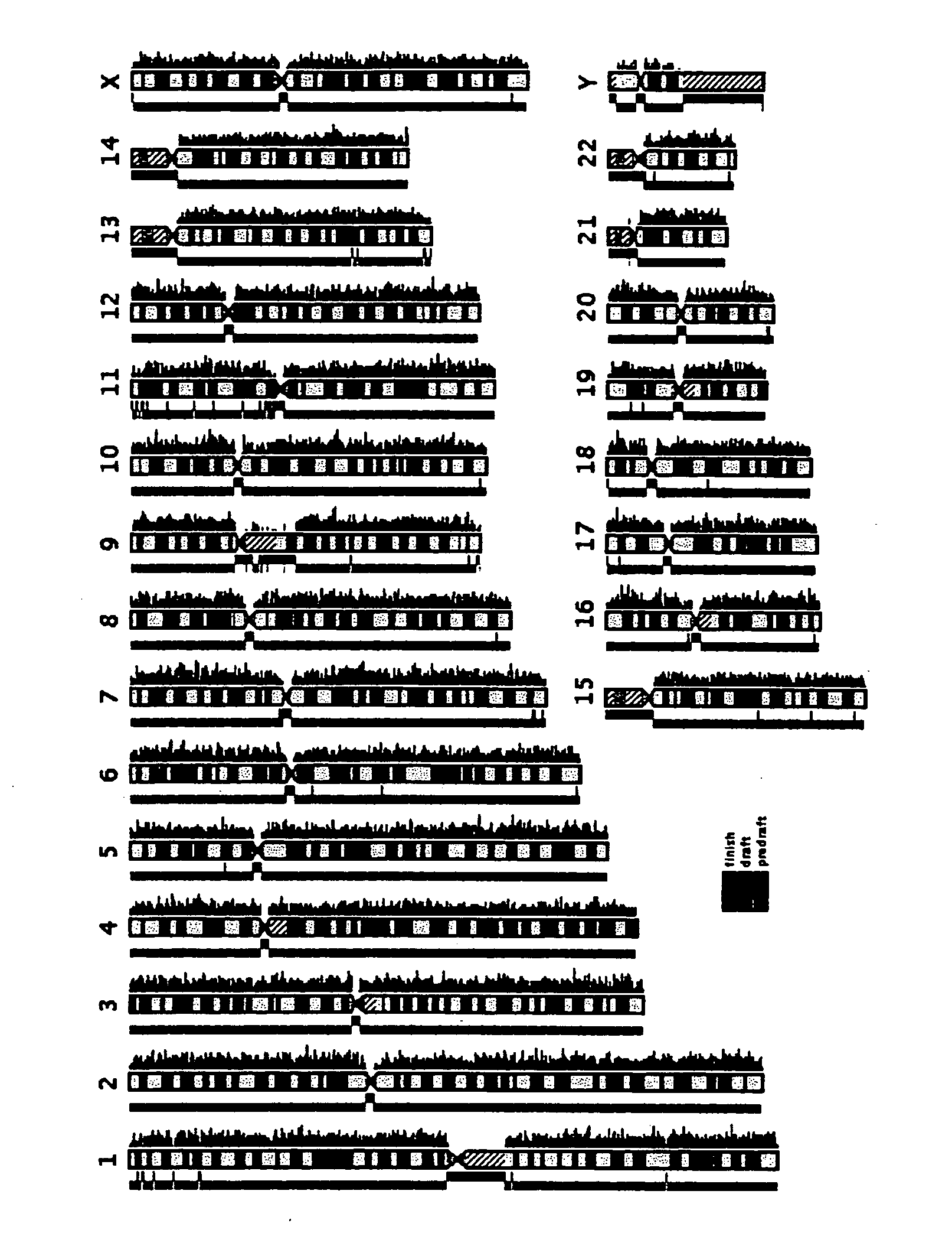 Marker Gene for Arthrorheumatism Test