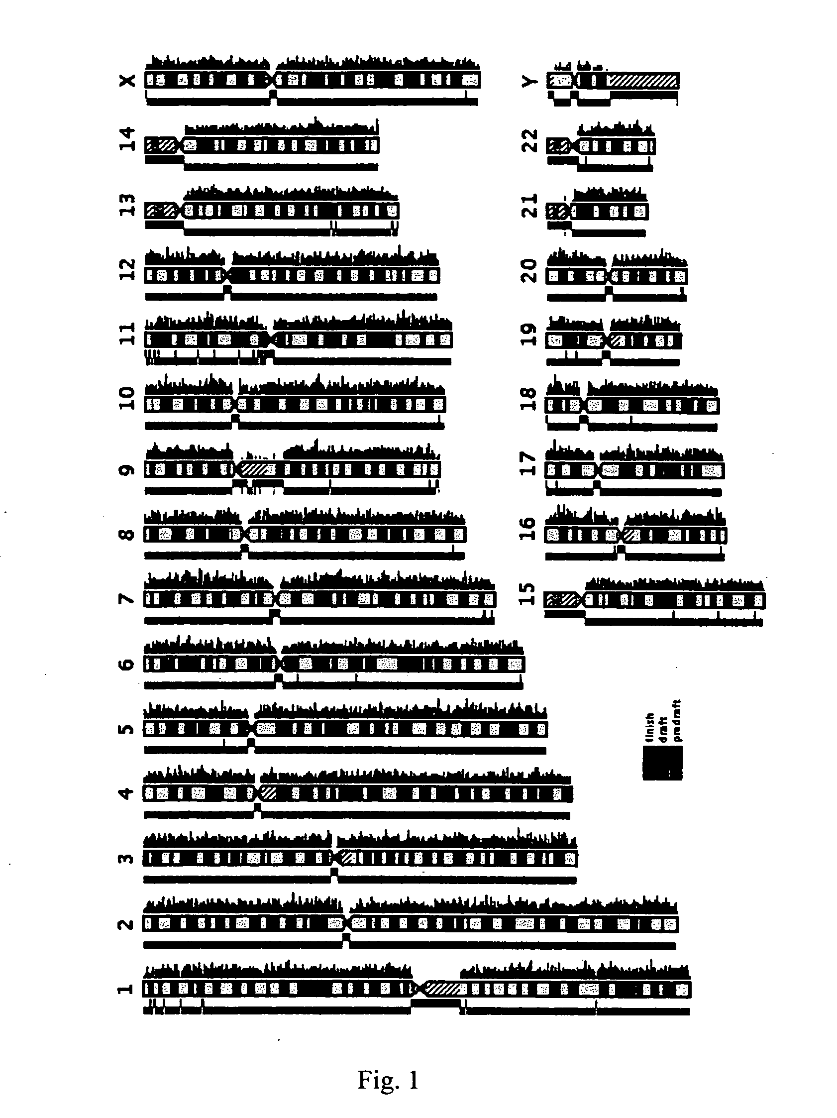 Marker Gene for Arthrorheumatism Test