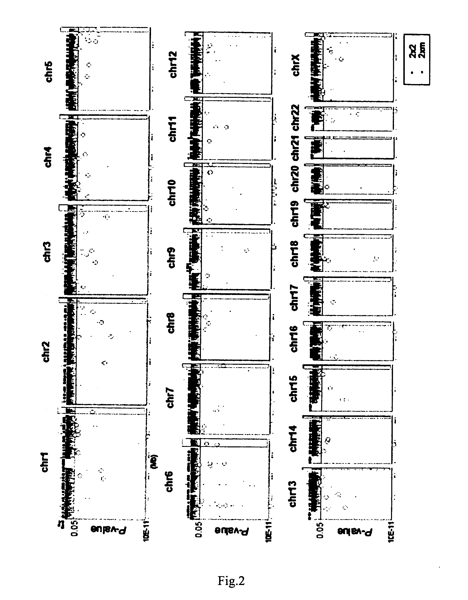 Marker Gene for Arthrorheumatism Test