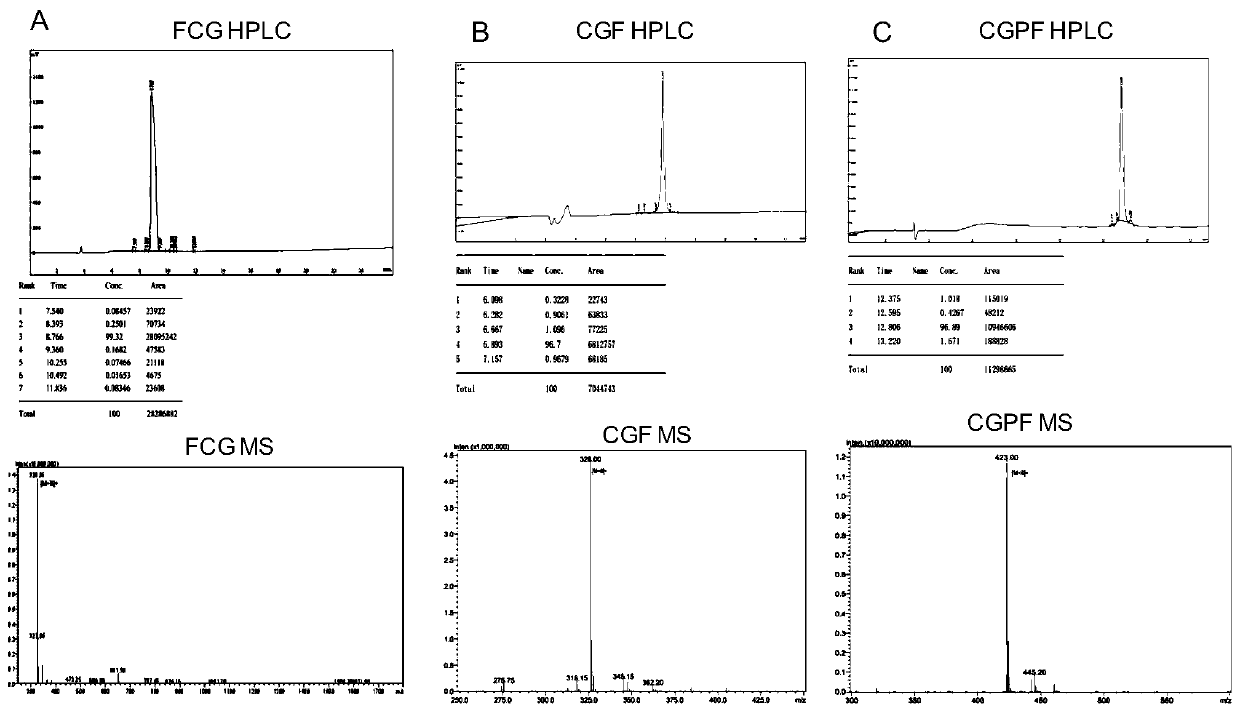 A synthetic peptide that readily penetrates the blood-brain barrier