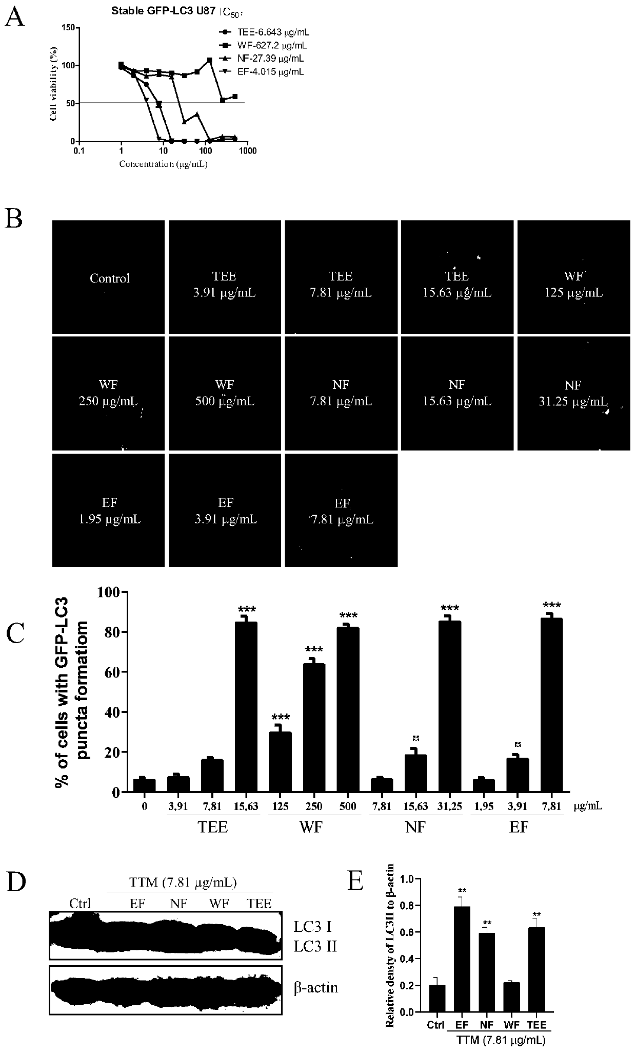 Application of trillium tschonoskii maxim saponin to preparation of medicines for protecting nerves