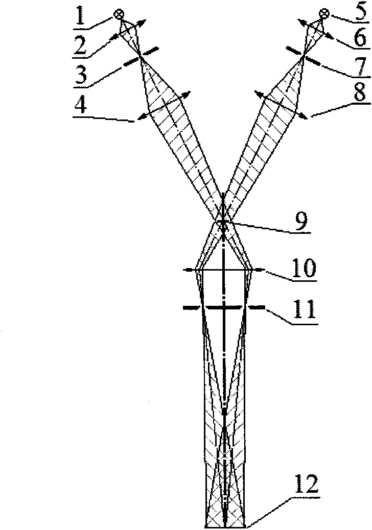 High-magnification three-dimensional imaging microscope based on double-light source off-axis illumination and imaging method