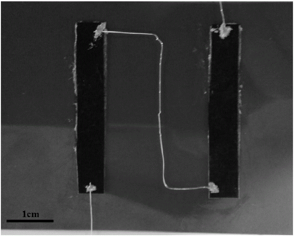 Preparation method of flexible carbon nanotube-polyaniline thermoelectric device