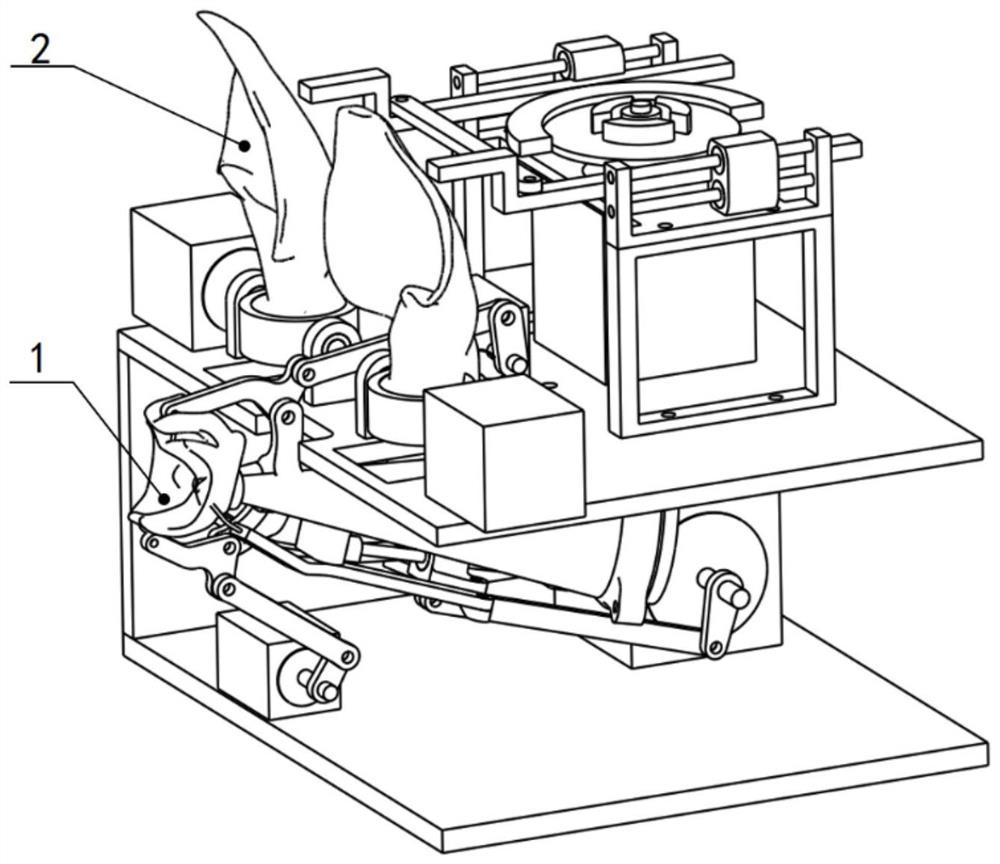 Bat-imitating dynamic sonar device and use method