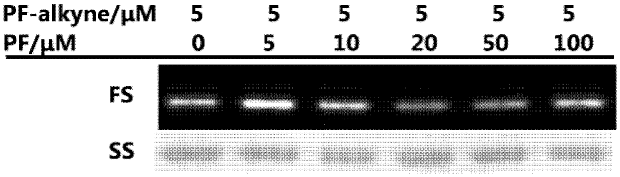 Compound for immobilizing proteins and method for immobilizing proteins