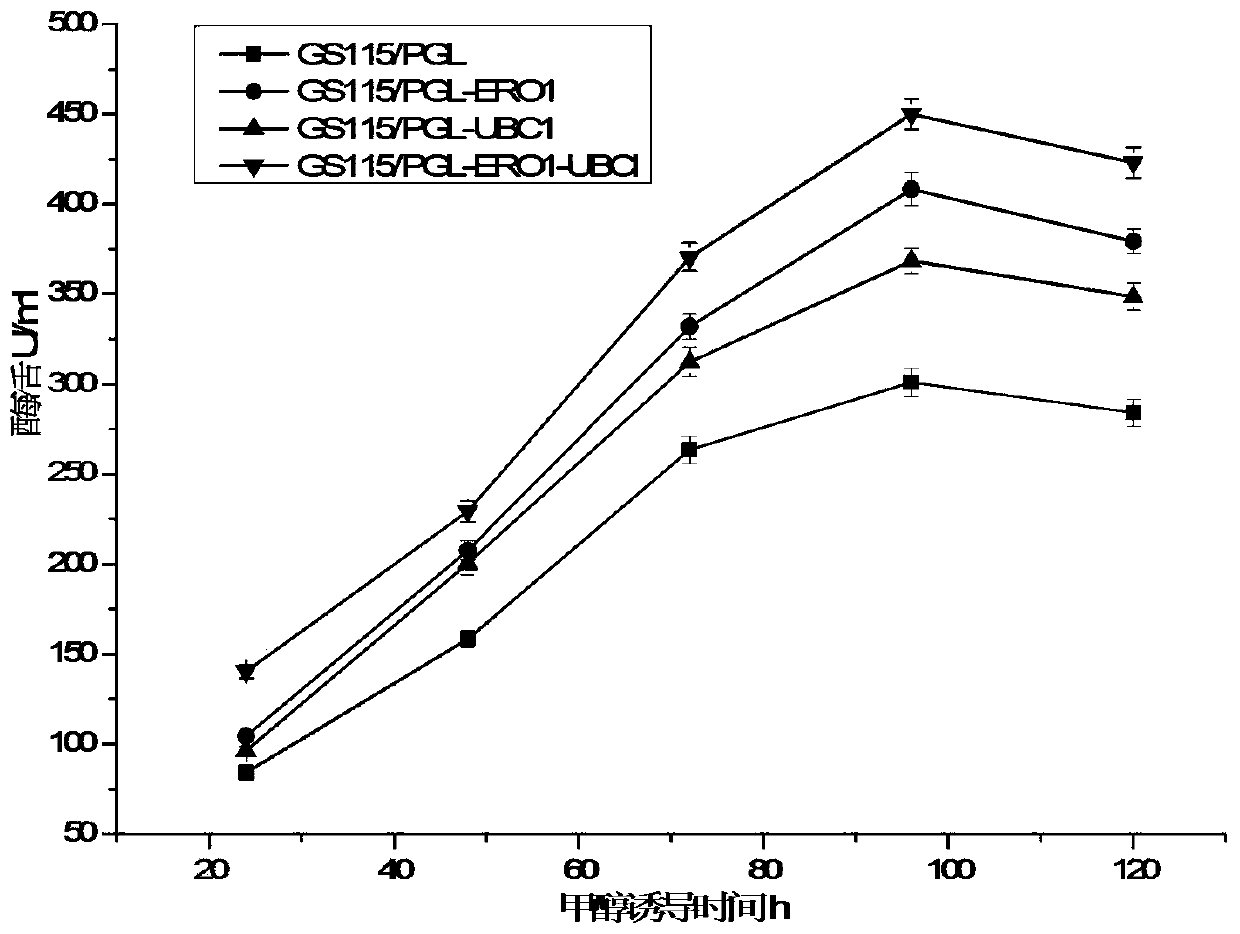 A strain highly expressing alkaline pectinase and its construction and application