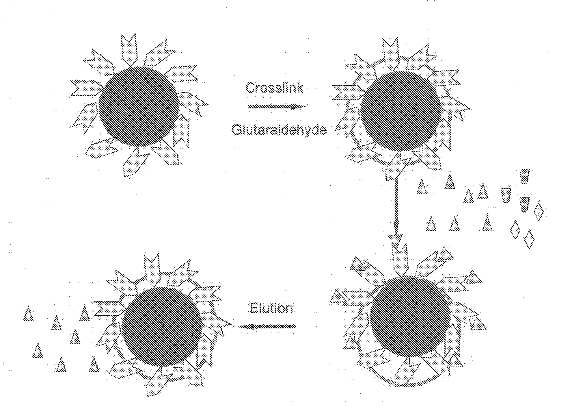 Methods for Coupling of Molecules to Metal/Metal Oxide Surfaces